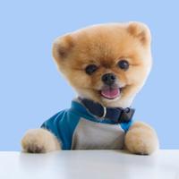 why the hell does it say this is my sound