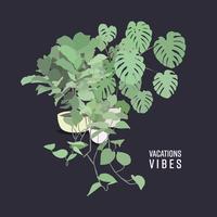 Vacations - Friends
