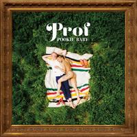 Prof - Light Work