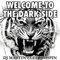 DJ Martin ElectroSpin - I'm Friends with the Monster