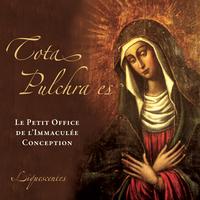 Ensemble vocal Liquescentes - Salve Regina Caelitum