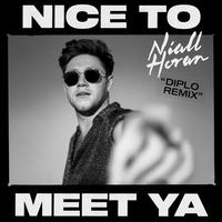 Niall Horan & Diplo - Nice To Meet Ya - Diplo Remix