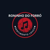 Sentimento Louco (Acoustic) by Roninho do Forró