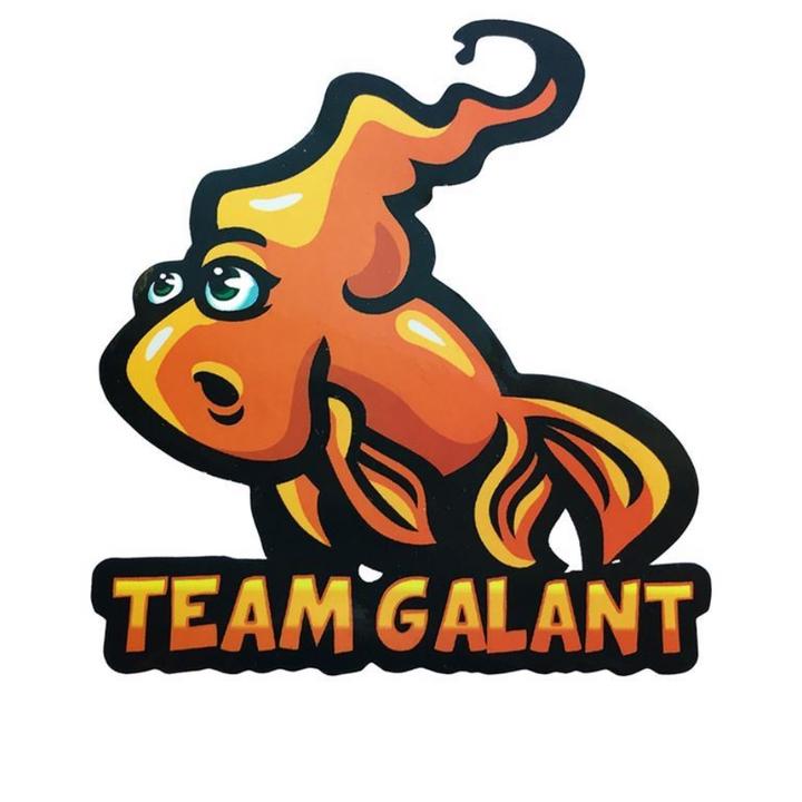 🦄 @teamgalant_official - Team Galant - TikTok