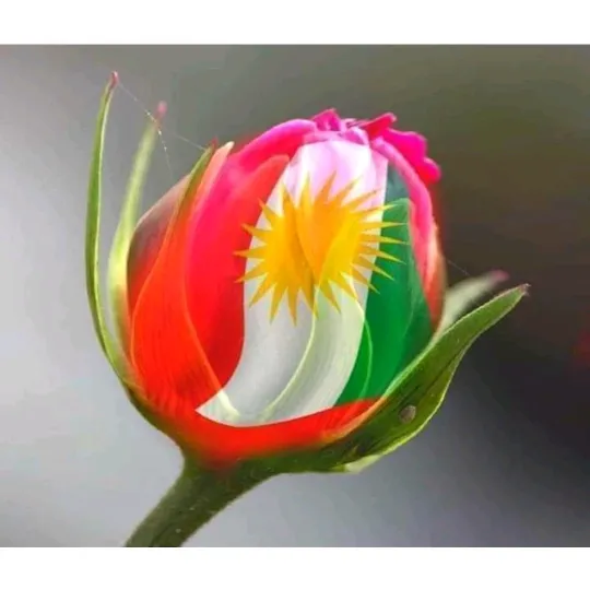 nadiraismail0