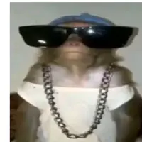 3rri4ls3d1ts