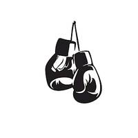 your_local_fighter2024
