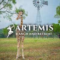 theartemisranch