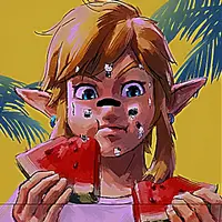 zelda.ampi_ok