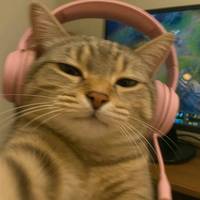 TikTok Account - dj.ulica
