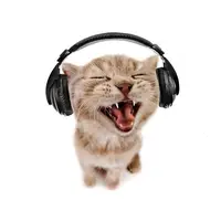 aleee.music