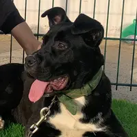 bella023657