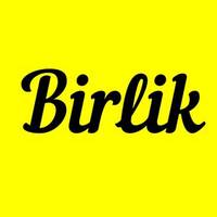 TikTok Account - birlikmedia