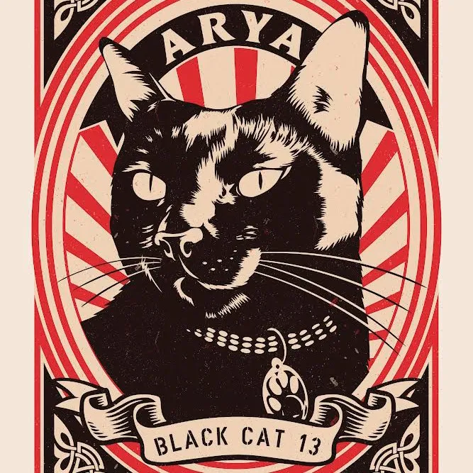 aryablackcat13
