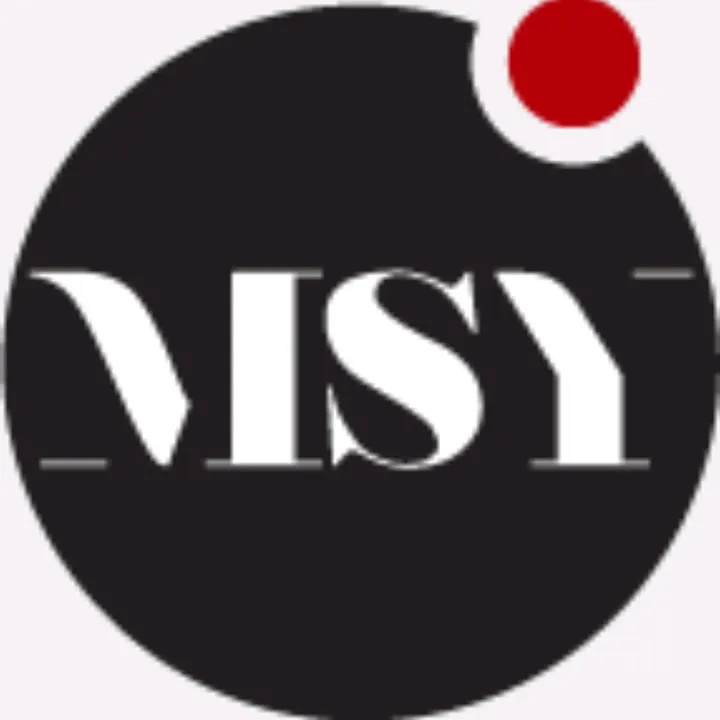 msy_invest