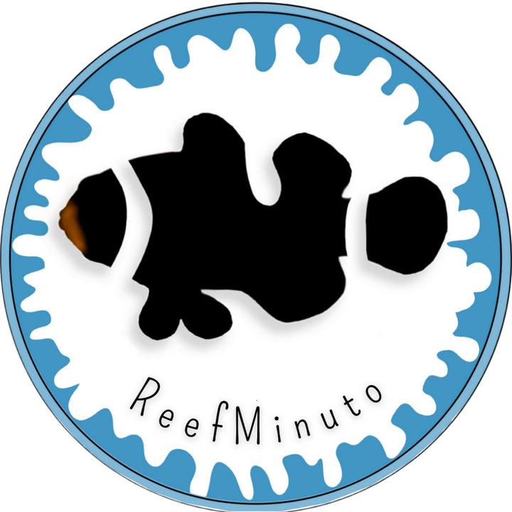 @reefminuto - ReefMinuto Aquarismo