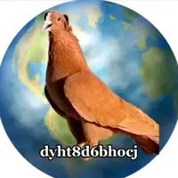 dyht8d6bhocj