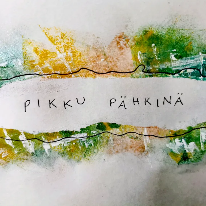 pikkupaehkinae