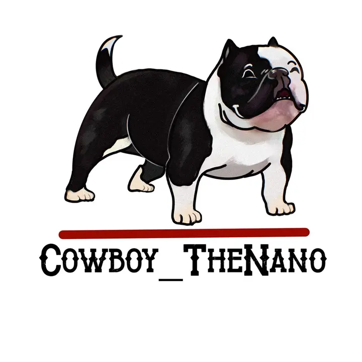 cowboy_thenano