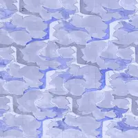 TikTok Account - bluewolfbeats