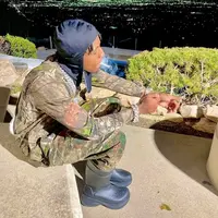 baehelpswerv