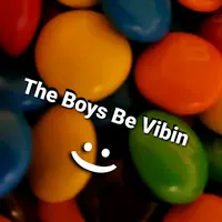 TikTok Profile - theboisbevibin