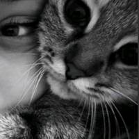 TikTok Account - djdbw92