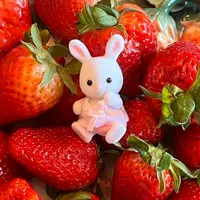 bonnie_ysee