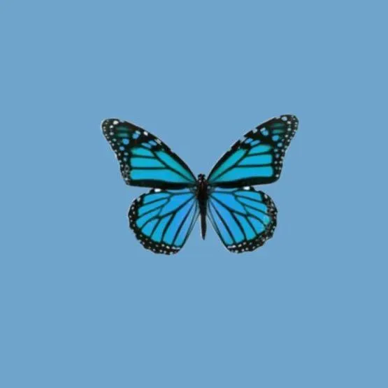 random_account680