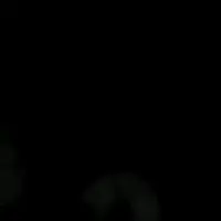 laris_jolie