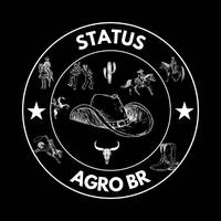 TikTok Account - status.agro.br
