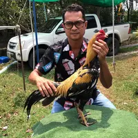 bawnumchokfarm