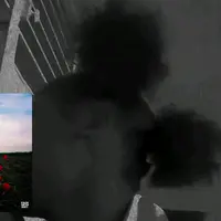 iiam.mg.stalkyy._