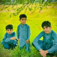 shareef.naseer