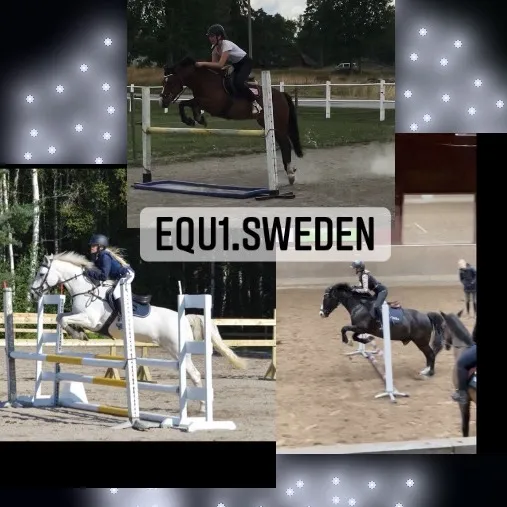 equ1.sweden