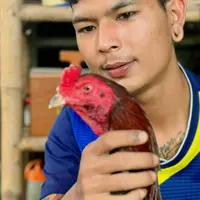 nu_s_suwankaew