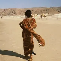 wh26___dy