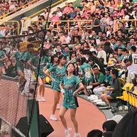 tw47811314