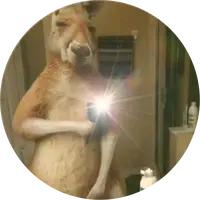 _queseyoestoyreloco_