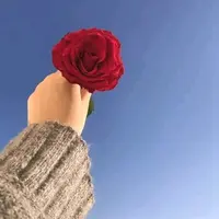 any.gspr3