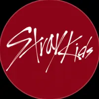 25.stray_kids.25