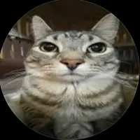 TikTok Account Photo