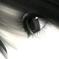 _cryyourmkill