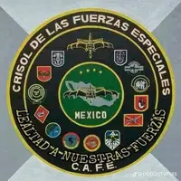 c17.ff.ee
