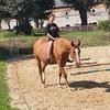 _.x.equestrian.x._