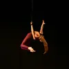 aerial.gymnast6