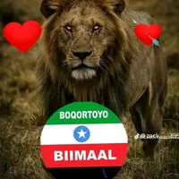 jacfar.shalanbood