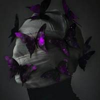 TikTok Account - acequotes._