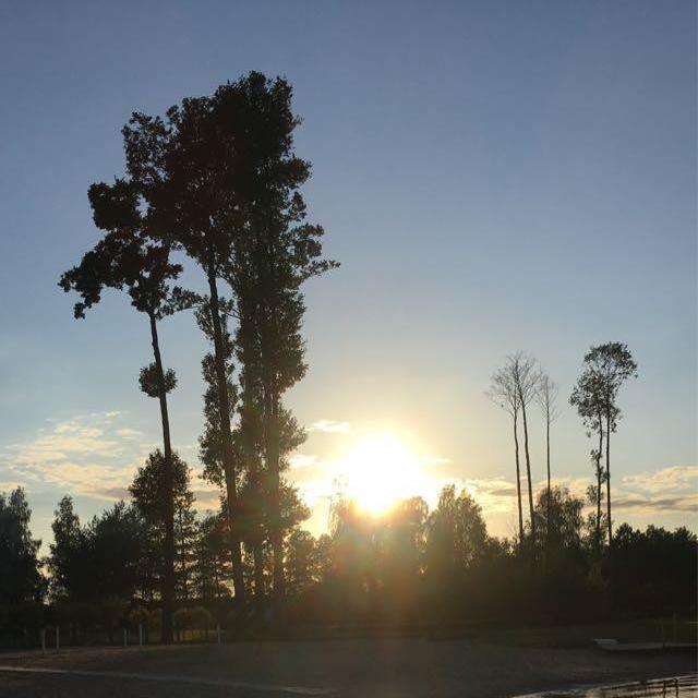 @n.m2109