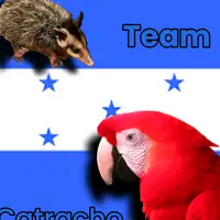marisolescobar41
